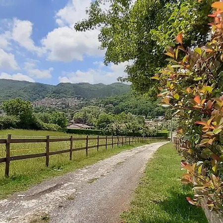 Gli Eucalipti_la Genziana E Il Sambuco Bed & Breakfast Rocca di Botte